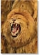 Lion Wall Art Multicolour 40x60cm