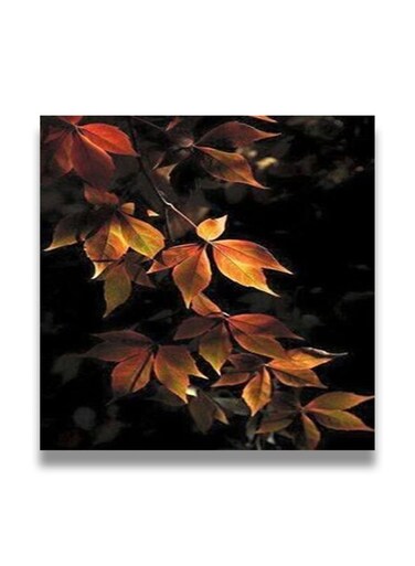 Decorative MDF Wall Art Painting Multicolour 30 x 30cm