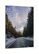 Jungle Printed Framed Canvas Wall Art Grey/Blue/Green 60x80centimeter