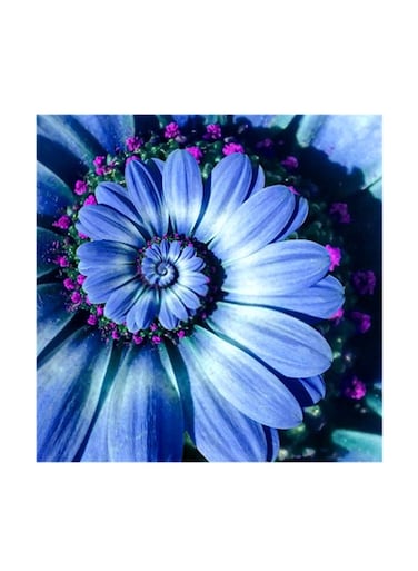 Roses MDF Wall Art Multicolor 30x30cm