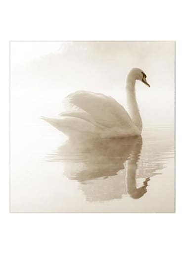 Duck MDF Wall Art White