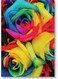 Decorative Wall Art Painting Multicolour 40 x 60cm