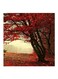 Nature Red Tree MDF Wall Art Multicolour 30x30cm