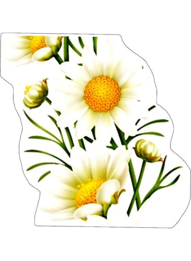 Flower Design Decorative Wall Sticker Multicolour