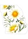Flower Design Decorative Wall Sticker Multicolour