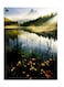 Printed Wall Sticker Multicolour 20cm