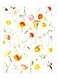 Printed Wall Sticker Multicolour 20cm