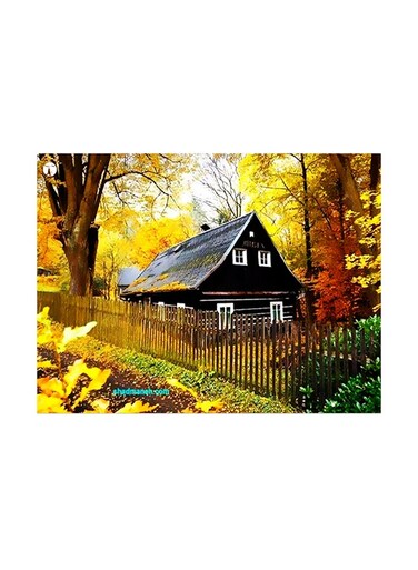 Printed Wall Sticker Multicolour 20cm