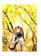 Printed Wall Sticker Multicolour 20cm
