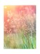 Printed Wall Sticker Multicolour 20cm