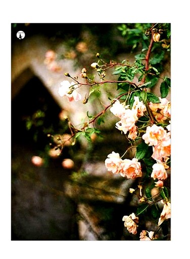 Printed Wall Sticker Multicolour 20cm