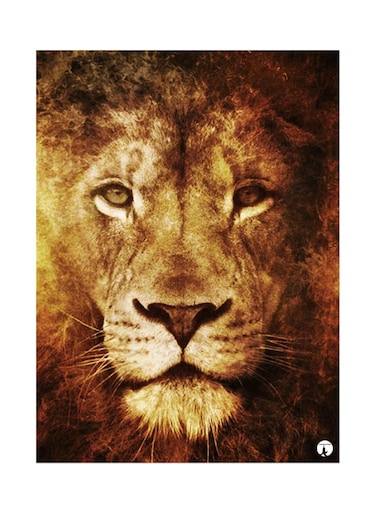 Printed Wall Sticker Multicolour 20cm