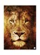 Printed Wall Sticker Multicolour 20cm