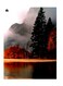 Printed Wall Sticker Multicolour 20cm