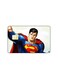 PRINTED BANK CARD STICKER Animation Superman By Dc