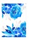Printed Wall Sticker Multicolour