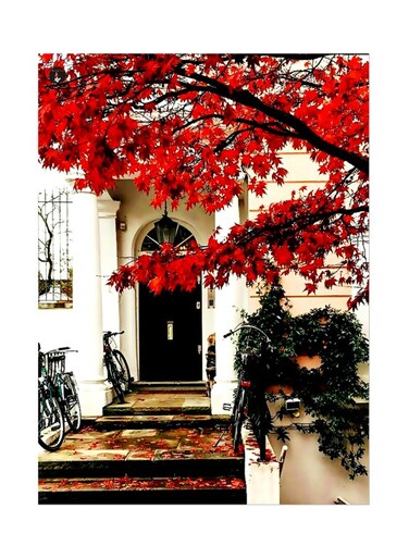 Printed Wall Sticker Multicolour 20cm