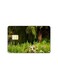 PRINTED BANK CARD STICKER Beautiful Nature View Picture