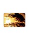 PRINTED BANK CARD STICKER Beautiful Wheat Plant Picture At Sunset