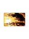 PRINTED BANK CARD STICKER Beautiful Wheat Plant Picture At Sunset