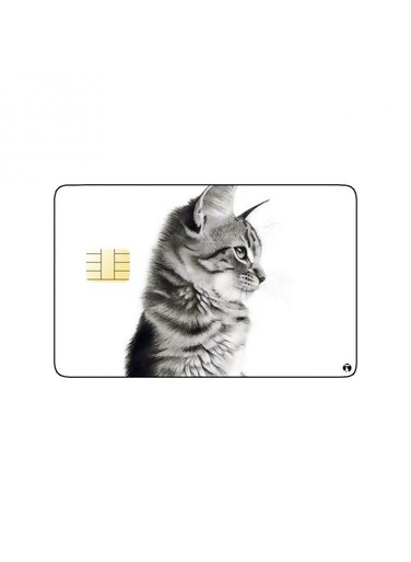 PRINTED BANK CARD STICKER Aesthetic Grey Cat Drawing
