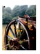 Printed Wall Sticker Multicolour 20cm