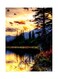 Printed Wall Sticker Multicolour 20cm