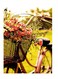 Printed Wall Sticker Multicolour 20cm