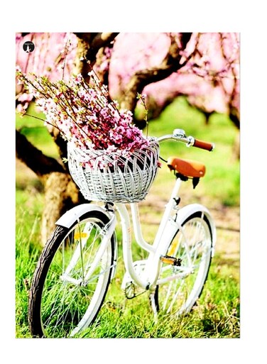 Printed Wall Sticker Multicolour 20cm