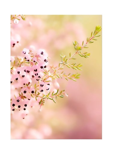 Printed Wall Sticker Multicolour 20cm