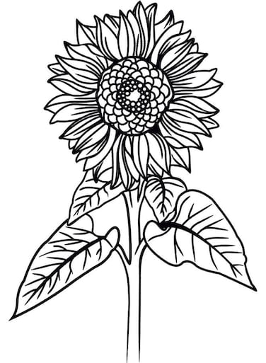 Decorative Wall Sticker Black 20cm