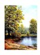Printed Wall Sticker Multicolour 20cm