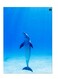 Printed Wall Sticker Multicolour 20cm
