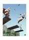 Printed Wall Sticker Multicolour 20cm