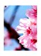 Printed Wall Sticker Multicolour 20cm