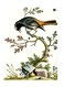 Printed Wall Sticker Multicolour 20cm