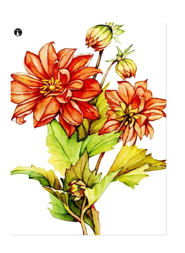 Printed Wall Sticker Multicolour 20cm