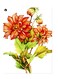 Printed Wall Sticker Multicolour 20cm