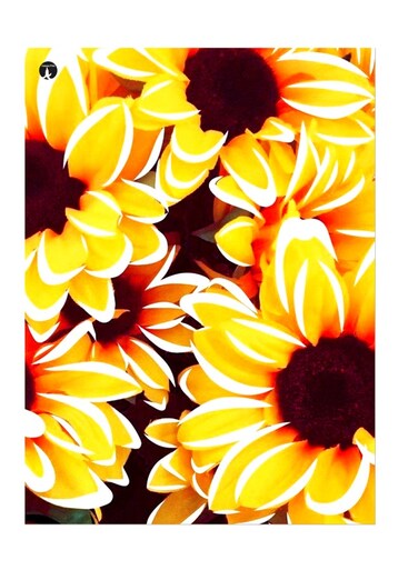 Printed Wall Sticker Multicolour 20cm