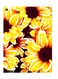 Printed Wall Sticker Multicolour 20cm