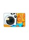 PRINTED BANK CARD STICKER Beautiful Camera And Oranges Drawing