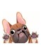 3D Unique Car Styling Funny Puppy Cartoon Car Sticker Colorful Window Body Vinyl Sticker Decal