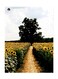 Printed Wall Sticker Multicolour 20cm