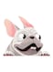 3D Unique Car Styling Funny Puppy Cartoon Car Sticker Colorful Window Body Vinyl Sticker Decal