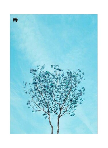 Printed Wall Sticker Multicolour 20cm