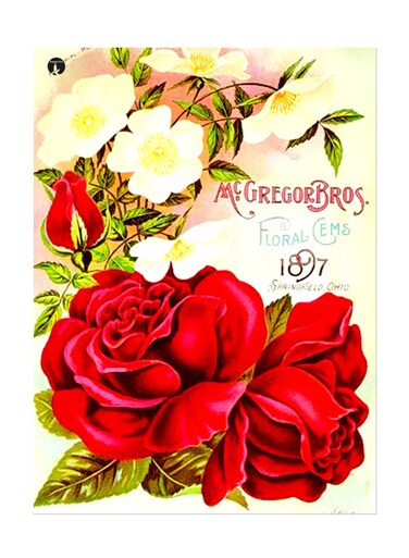 Printed Wall Sticker Multicolour 20cm