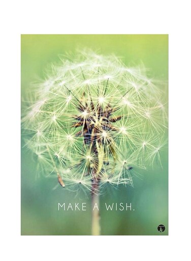 Printed Wall Sticker Multicolour 20cm