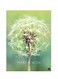 Printed Wall Sticker Multicolour 20cm