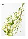 Printed Wall Sticker Multicolour 20cm