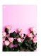 Printed Wall Sticker Multicolour 20cm